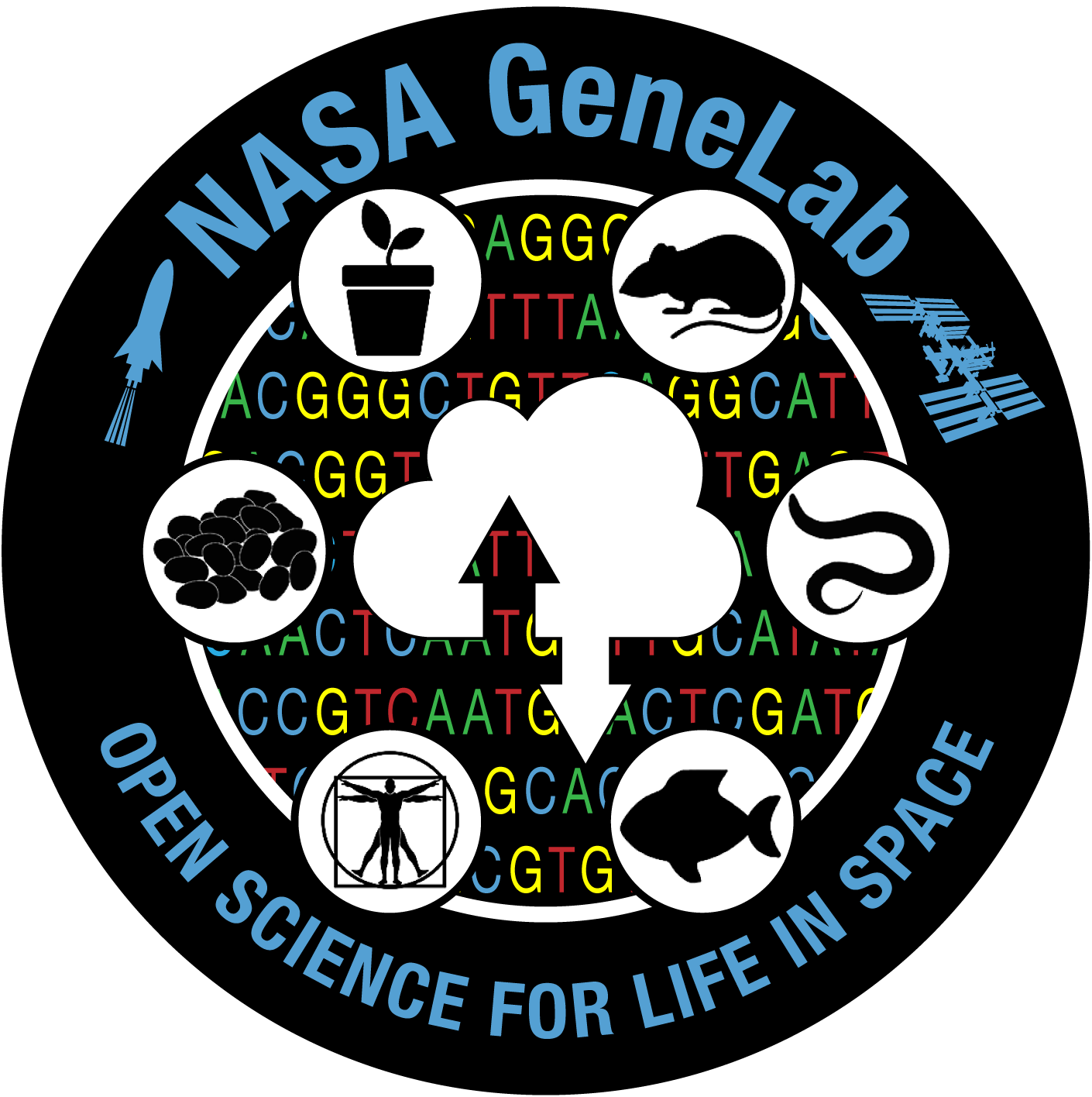 NASA GeneLab – Open Science for Life in Space
